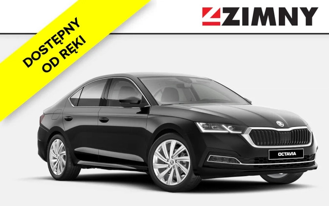 skoda octavia Skoda Octavia cena 149900 przebieg: 7, rok produkcji 2023 z Czchów